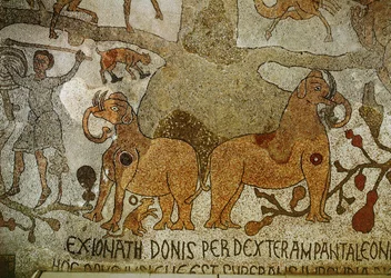 Two Elephants at the Roots of the Tree of Life