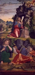 Jesus in Garden