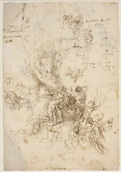 Sketches for the Birth and Death of Adonis