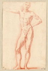 A Male Nude