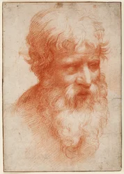 Head of a Bearded Man, looking right, c.1523-25