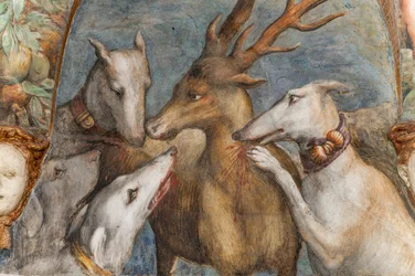 Actaeon, turned into a stag, is eaten by his own dogs (detail)