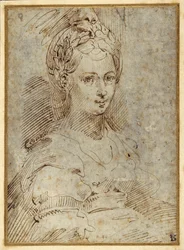 Half-length of a seated woman