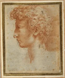 Profile of a Young Man