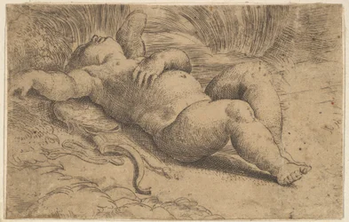 Cupid Sleeping