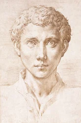 Head of a Young Man Looking Up