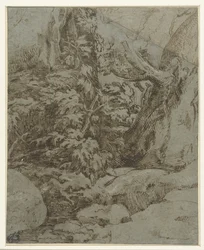 Study of a landscape