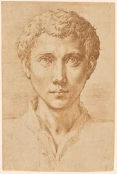 The Head of a Young Man