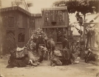 Hall of Camels