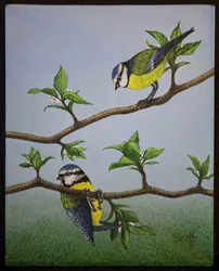Bluetits