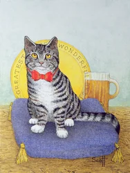 Mr Wonderful