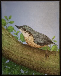 Nuthatch, 2016