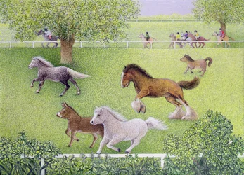 On the Gallop