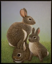 Rabbit Family