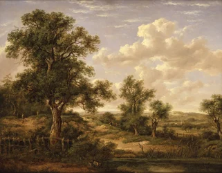 Heathland Near Godstone