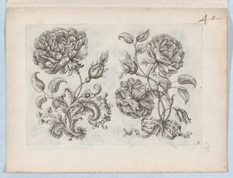 Series of Small Flower Motifs, Plate 5, ca. 1670-85