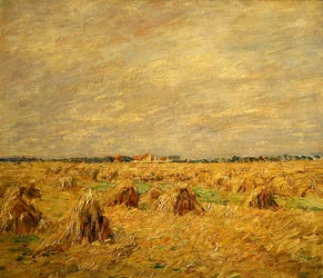 Harvested Fields in a Flat Landscape