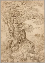 Wooded Landscape with Donkeys and Goats, and Castle on Hill in Distance