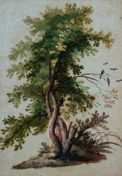 A Tree with Two Birds Perching on a Branch