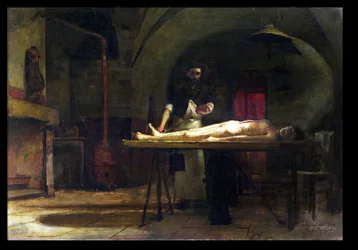Dissection scene