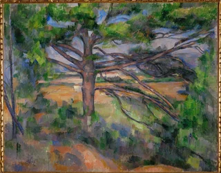Grand Pine and Red Lands