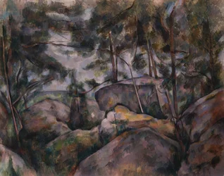 Rocks in the Forest