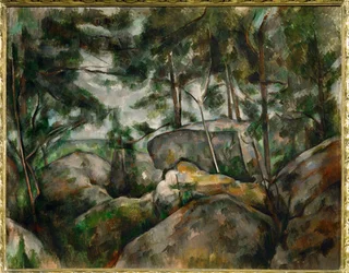 Rocks in the Forest