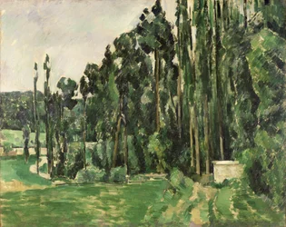 The Poplars, c.1879-82