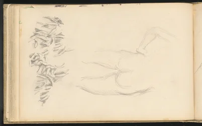 A Nude and Foliage