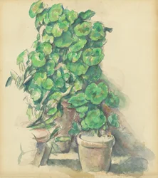 Geraniums, 1888-1890