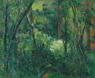 Interior of a Forest