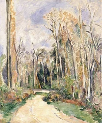 Path at the Entrance of the Forest