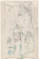 Forest Path