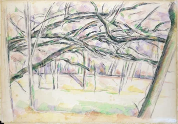 The Orchard