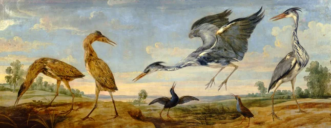 Bitterns, Herons and Water Rails in a Landscape