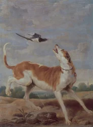 The Dog and the Magpie, 17th Century
