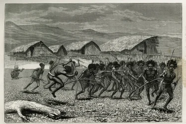 Descent of the Papus Arfaks Warriors in Dorey (New West Guinea) (engraving by E. Mesples, to illustrate the voyage to New Guinea by Achille Raffray, 1876-1877)