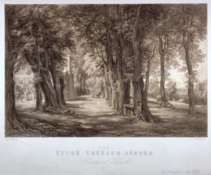 The Upper Terrace Avenue, Hampstead Heath, London