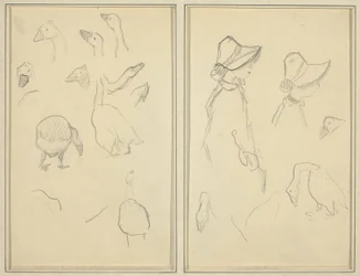 Geese; Girls in Bonnets, Geese [recto]