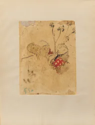Heads and Vegetation