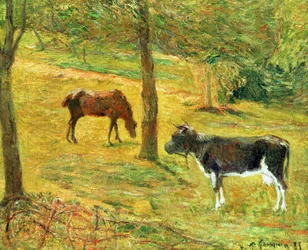 Horse and Cow in a Meadow, 1885