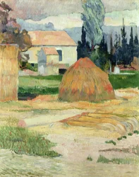 Landscape Near Arles