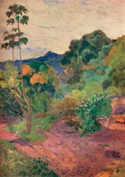 Martinique Landscape