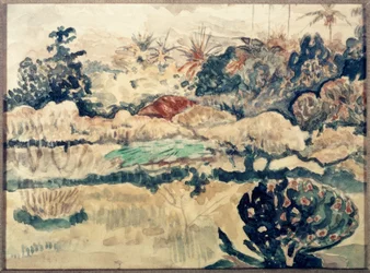 Tahiti Landscape