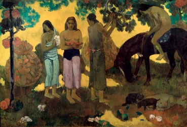 Rupe Rupe Fruit Gathering