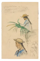 Sketches of Figures, Pandanus Leaf, and Vanilla Plant