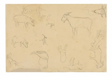 Sketches of Various Animals and Head (recto), Sketches of a Head, Figure in Profile, Anatomical Details, and Animals (verso)