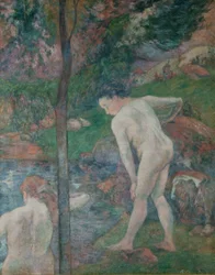 The Bathers