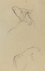 Two Cow