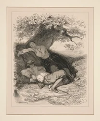 The Siesta